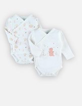 noukie's , bodyset, 2 stuks meisjes , dino's , lange mouw, bio katoen , 3maand 62