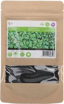 Groene Postelein Grootverpakking 50 gram voor 50 m2