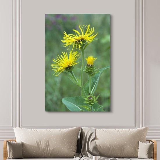 Fleur d'Alant jaune entre la haute herbe verte Toile 120x180 cm - Tirage photo sur toile (Décoration murale salon / chambre) XXL / Groot format!
