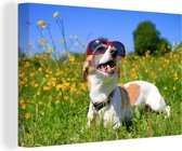 Canvas Schilderij Jack Russel hond met een zonnebril - 60x40 cm - Wanddecoratie