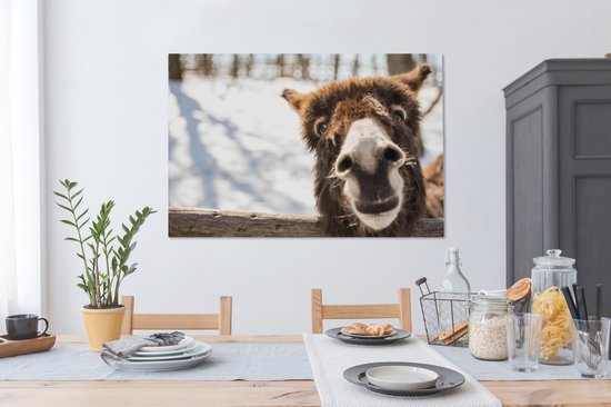 Toile d'âne curieux 2cm 120x80 cm - Tirage photo sur toile (Décoration murale salon / chambre) / Peintures sur toile animaux sauvages