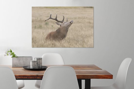 Cerf avec la tête en l'air toile 2cm 60x40 cm - Tirage photo sur toile peinture (Décoration murale salon / chambre) / animaux sauvages Peintures sur toile