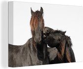 Chevaux jouant sur toile fond blanc 2cm 180x120 cm - Tirage photo sur toile (Décoration murale salon / chambre) / Animaux sauvages Peintures sur toile XXL / Groot format!