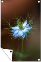 Tuindecoratie Felblauwe nigella bloem - 40x60 cm - Tuinposter - Tuindoek - Buitenposter