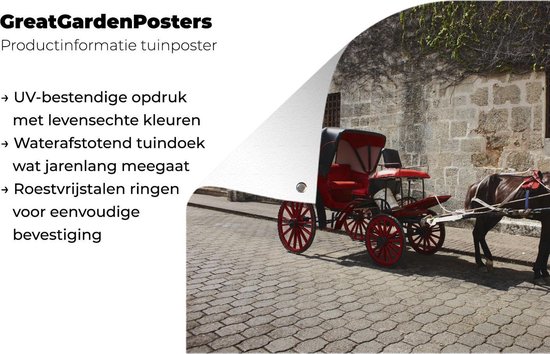 Cheval et calèche dans une rue de Saint-Domingue en République Dominicaine Affiche de jardin 90x60 cm - Toile de jardin / Toile d'extérieur / Peintures d'extérieur (décoration de jardin)