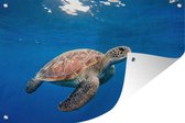 Muurdecoratie Schildpad in de oceaan - 180x120 cm - Tuinposter - Tuindoek - Buitenposter