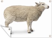 Mouton câlin représenté du côté affiche de jardin toile en vrac 80x60 cm - toile de jardin / toile d'extérieur / Peintures pour l'extérieur (décoration de jardin)