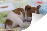 Tuindecoratie Puppy - Slaap - Deken - 60x40 cm - Tuinposter - Tuindoek - Buitenposter