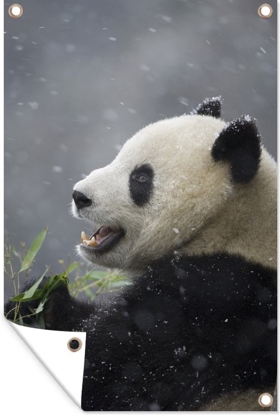 Affiche de jardin panda géant en hiver toile en vrac 60x90 cm - Toile de jardin / Toile d'extérieur / Peintures pour l'extérieur (décoration de jardin)