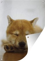Tuin decoratie Slapende Shiba Inu puppy - 30x40 cm - Tuindoek - Buitenposter