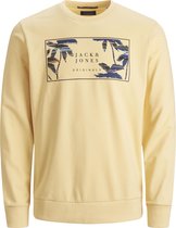 JACK&JONES JUNIOR JORHAZYS SWEAT CREW NECK JR Jongens Trui - Maat 128