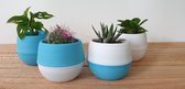 Bloempot - kunstof -  waterreservoir - wit/blauw -set van 4