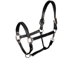 Harry's Horse Halster Padded Leer Zwart - paard