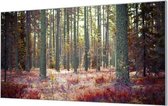 Wandpaneel Bos in de herfst  | 120 x 60  CM | Zilver frame | Wandgeschroefd (19 mm)