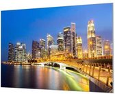 Wandpaneel Merlion Park Singapore  | 100 x 70  CM | Zilver frame | Wandgeschroefd (19 mm)