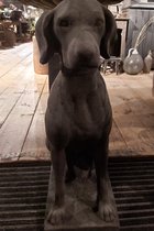 Il cupido| betonnen hond| Weimaraner hond| betonnen beeld|vorstvrij beeld hond