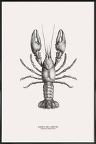 JUNIQE - Poster in kunststof lijst American Lobster -30x45 /Grijs &