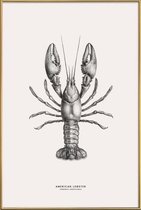 JUNIQE - Poster met kunststof lijst American Lobster -20x30 /Grijs &