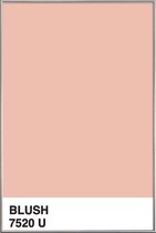 JUNIQE - Poster met kunststof lijst Blush -40x60 /Roze & Wit