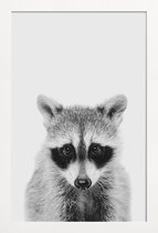 JUNIQE - Poster in houten lijst Raccoon Classic -40x60 /Wit & Zwart