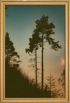 JUNIQE - Poster met houten lijst The Forest II -40x60 /Oranje &