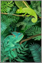 JUNIQE - Poster met kunststof lijst Chameleons -13x18 /Groen