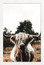 JUNIQE - Poster in houten lijst Boris Highland Cow -20x30 /Bruin &