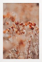 JUNIQE - Poster in houten lijst Autumnal Flowers -20x30 /Oranje & Roze