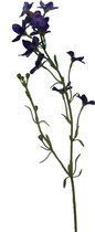 Fabulous Flowers - 3,0 sts ridderspoor (Delphinium elatum) 71 cm blauwpaars