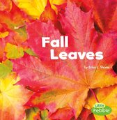 Celebrate Fall - Fall Leaves