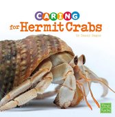 Expert Pet Care - Caring for Hermit Crabs