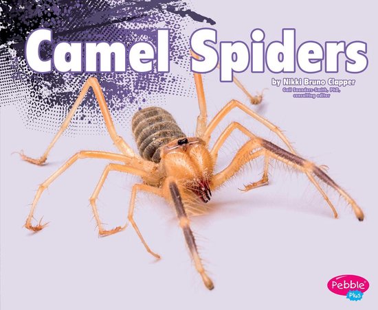 Foto: Creepy crawlers camel spiders