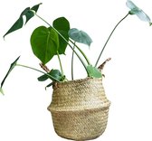 QUVIO Plantenmand met handvaten / Bloempotten voor binnen / Bloempotten / Bloempotten voor buiten / Bloempot buiten  / Plantenbak / Planten houder - 26 x 25 cm (dxh)