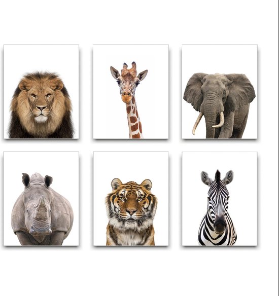Schilderij  Set 6 Safari / Jungle Leeuw Tijger Olifant Giraf Neushoorn Zebra - Kinderkamer - Dieren Schilderij - Babykamer / Kinder Schilderij - Babyshower Cadeau - Muurdecoratie - 50x40cm - FramedCity