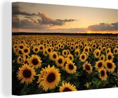 Peintures sur toile - Tournesol - Coucher de soleil - Couleurs - 60x40 cm - Décoration murale