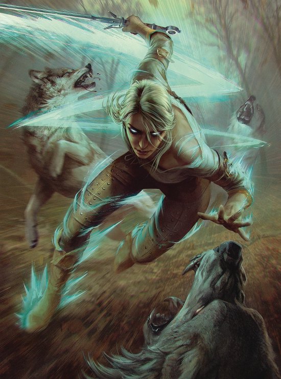 The Witcher 3: Wild Hunt - Ciri and the Wolves Puzzle