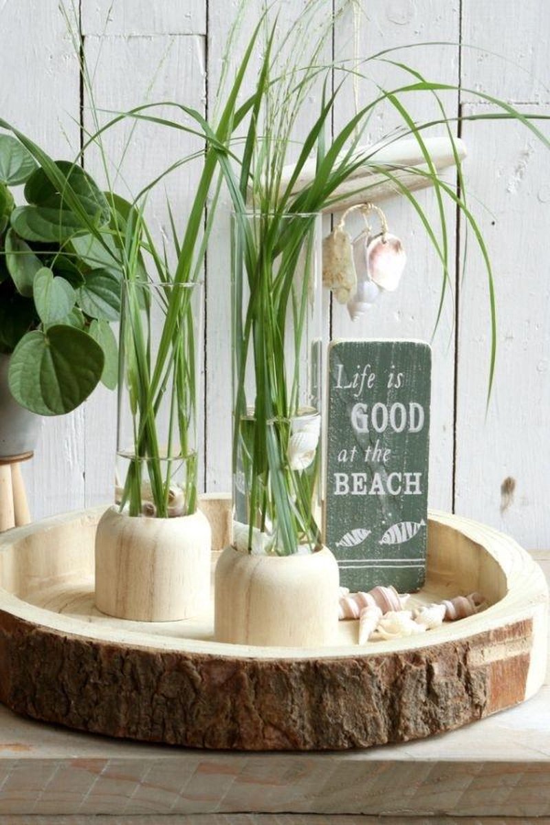 Goedkoopste Glazen Reageerbuis met houten basis 50x180mm - 1 st