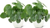We Love Plants - Pilea Peperomioides + Pot Geert - 2 stuks - 25 cm hoog - Pannenkoek Plant