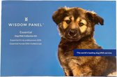 DNA test voor honden wisdom panel insight