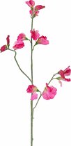 Fabulous Flowers - zijden Lathyrus fuchsia 64 cm - 3 stuks