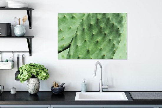 Tableau sur toile Cactus de Barbarie feuille vert menthe - 90x60 cm - Décoration murale