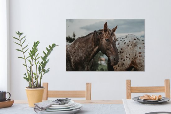 Appaloosa regarde la caméra 60x40 cm - impression photo sur toile (peinture Décoration murale salon / chambre à coucher) / Mammifères toile Peintures