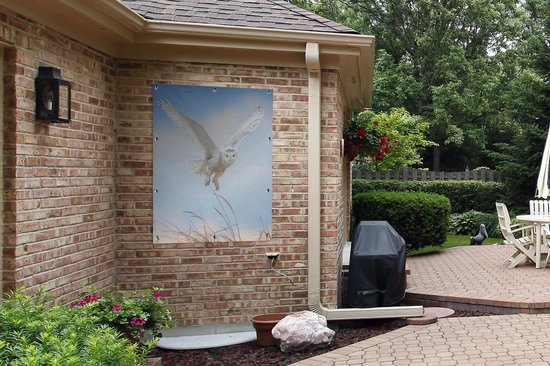 Affiche de jardin - Harfang des neiges volant - 90x120 cm