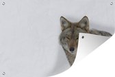 Tuindecoratie Wolf op witte achtergrond - 60x40 cm - Tuinposter - Tuindoek - Buitenposter