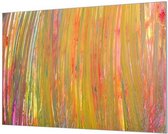 HalloFrame - Schilderij - Abstracte Kleuren Wand-beugels - Zilver - 210 X 140 Cm