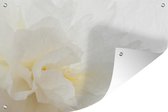 Tuindecoratie Close-up van een witte pioenroos van de zijkant - 60x40 cm - Tuinposter - Tuindoek - Buitenposter