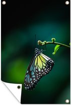Muurdecoratie Close-up vlinder op een tak - 120x180 cm - Tuinposter - Tuindoek - Buitenposter