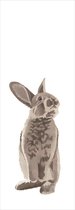 ESTAhome fotobehang konijn bruin - 159052 - 1 x 2.79 m