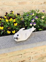 Zeehond klein zwemmend 8 cm hoog - polyester - polystone - beeld - tuinbeeld - hoogkwalitatieve kunststof - decoratiefiguur - interieur - accessoire - voor binnen - voor buiten - c