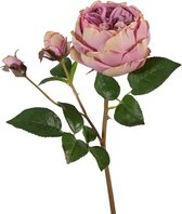 Viv! Home Luxuries David Austin roos - zijden bloem - lila paars - 56cm